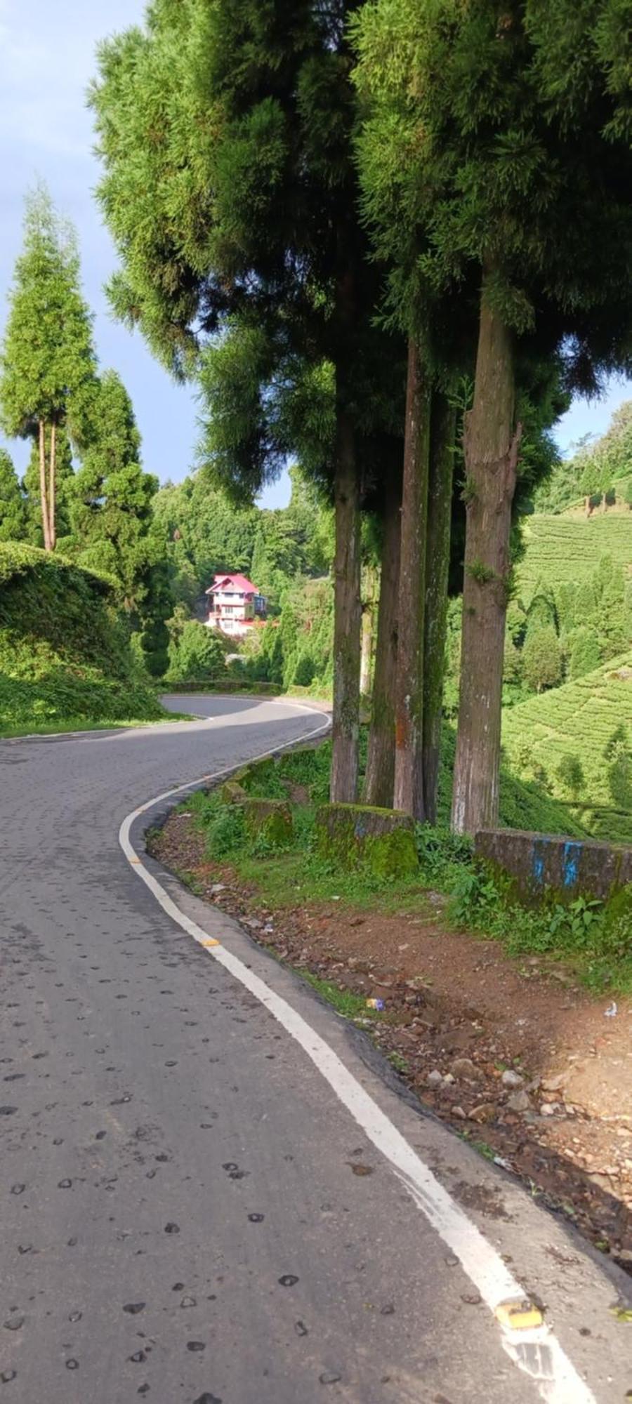 Lotus Homestay Dardzsiling Kültér fotó
